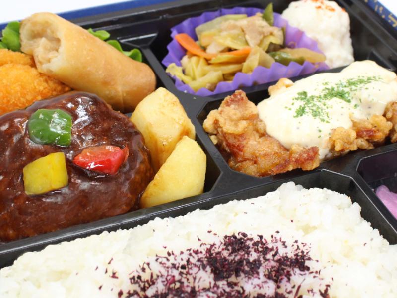 Ｎｏ．120 ハンバーグとチキン南蛮弁当