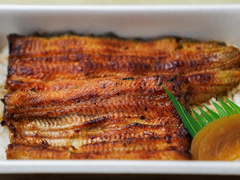 うなぎ弁当 松（大1尾）
