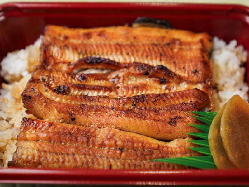 うなぎ弁当 梅（中3/4尾）