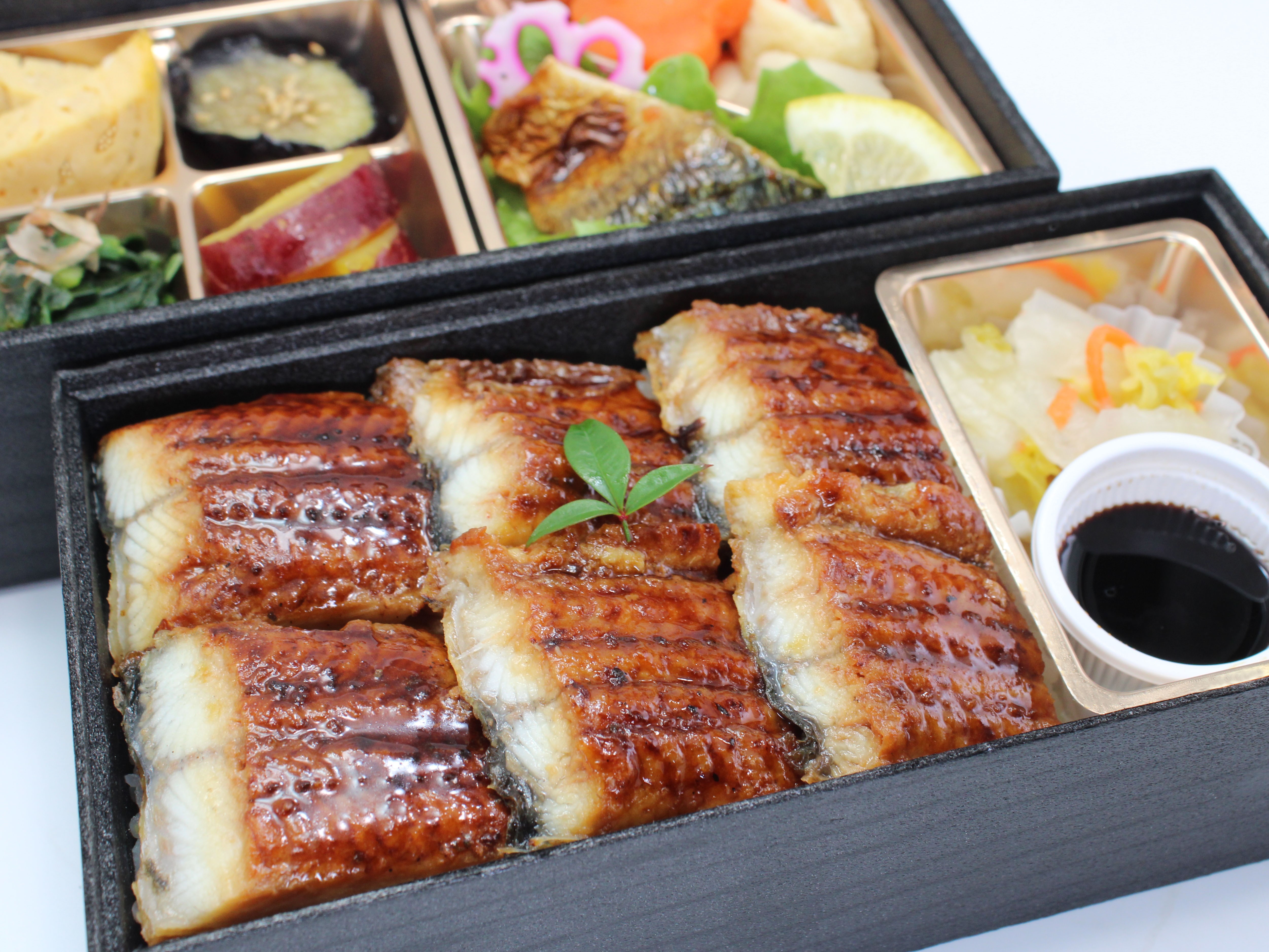 Ｎｏ．173 厳選特上うなぎの2段重