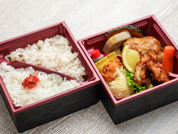 豆腐入り手ごねハンバーグと唐揚げ二種しゅうまい二段弁当